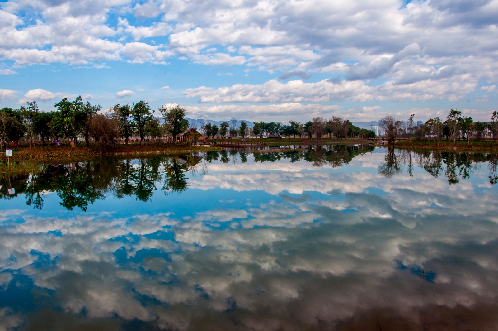 开远凤凰湿地风光